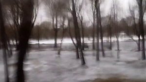 Город Добруш, Гомельская область. Февраль, 2023. Сермя "Города Беларуси"