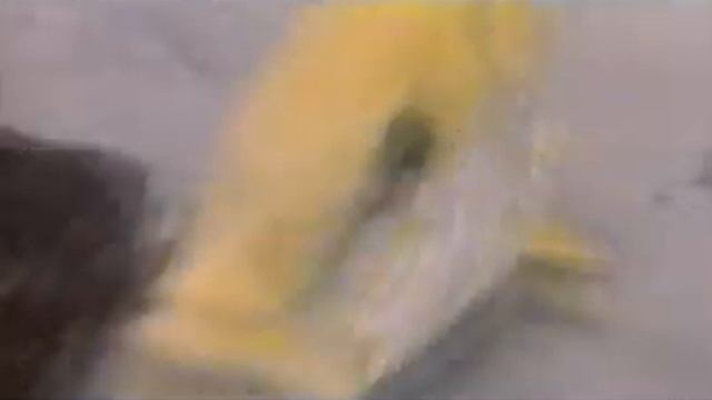 Cichlids of Lake Tanganyika National Geographic смотреть онлайн