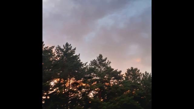 Forever смотреть онлайн