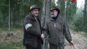 Охота на кабана с литовскими гончими