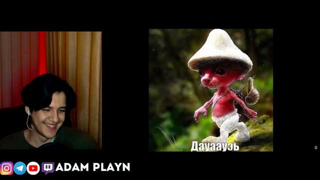 ШАЙЛУШАЙ — ОТКУДА МЕМ? ► небуди Реакция от АДАМА ПЛЕЙНА смотреть онлайн