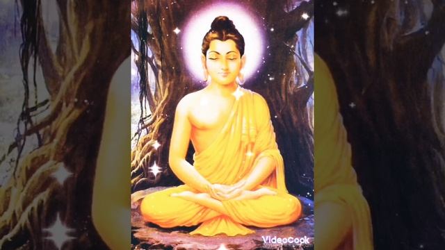 ?ПОСЛАНИЕ БУДДЫ?#Будда#посланиевысшихсил#таро#духовныезнания#медитация#душа