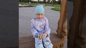 Шишкины пруды.mp4