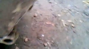 думпер или мини прицеп самосвал для мотоблока