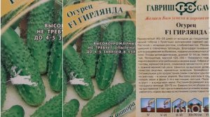 Лучшие сорта огурцов для сезона 2022 года.