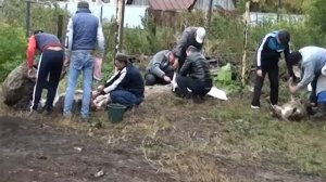 Илишевский район