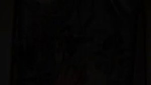 Слабительное для кошек в домашних условиях