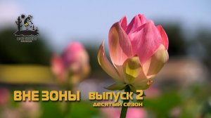 ВНЕ ЗОНЫ  День Лотоса