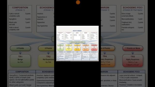 Thyroid Nodule TI RADS ACR