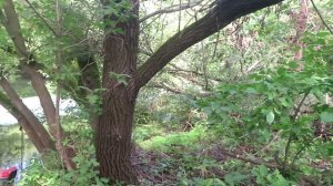 4К Природа,река Карай. Видео.Романовский район,Саратовская  область.