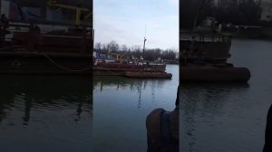 Щука в январе на реке Кубань.