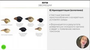 БИОЛОГИЯ ЕГЭ - Макроэволюция