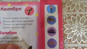 Книга "Животные Джунгей" из серии "нажми мы говорим" издатеьство  Азбукварик.