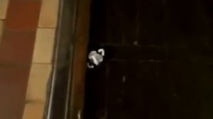 Социальная реклама "Сила вежливости"