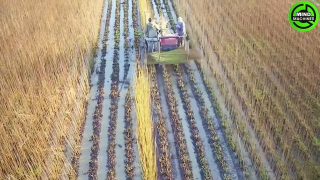 The Most Modern Agriculture Machines That Are At Another Level,How To Harvest Watermelons In Farm▶1