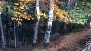 Национальный парк Сутьеска, Босния и Герцеговина