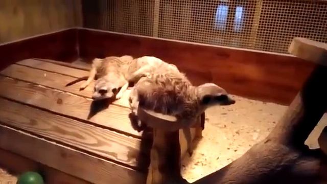 А удобно то как смотреть онлайн