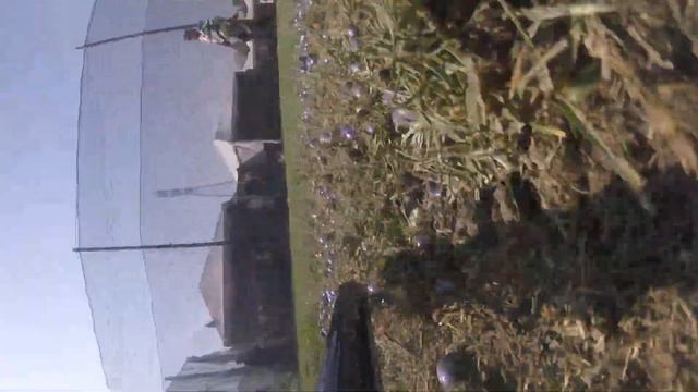 MXL GDL 2023 - Cazcanes corner fill snake kill смотреть онлайн