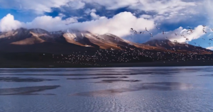 Одна из засушливых высокогорных пустынь - Атакама.