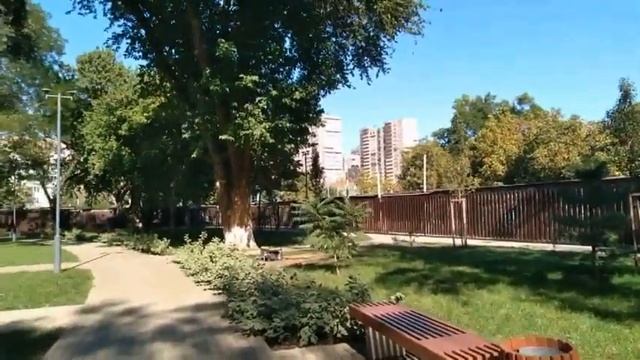 Краснодар. Сквер. Как живется? 8 октября 2020 смотреть онлайн