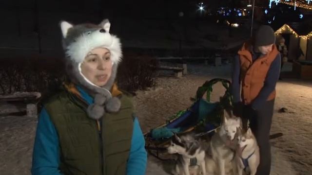 Катание на собачьей упряжке смотреть онлайн