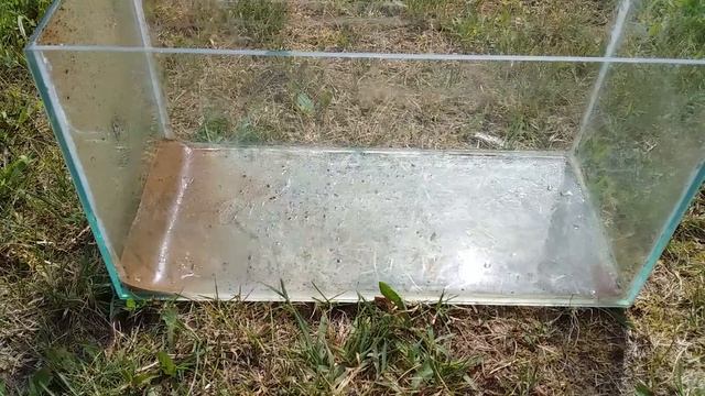 Делаю временный террариум для ящерицы.??? смотреть онлайн