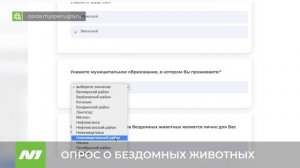 ОПРОС О БЕЗДОМНЫХ ЖИВОТНЫХ