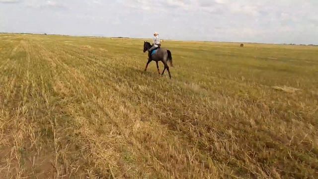 Прогулка верхом смотреть онлайн