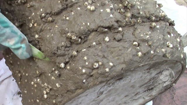 ЛЮБУЮ ЁМКОСТЬ МОЖНО ПРЕВРАТИТЬ В КАШПО!  КАК ЭТО ДЕЛАЮ Я. смотреть онлайн