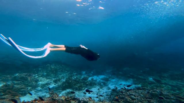 Freediving | Panglao, Bohol смотреть онлайн