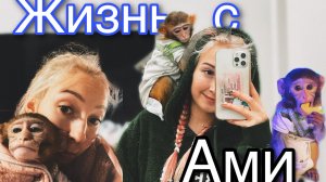 3 дня с обезьянкой дома!