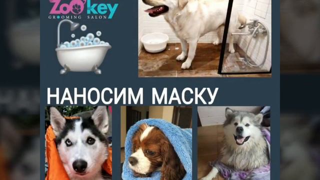 Экспресс -линька.