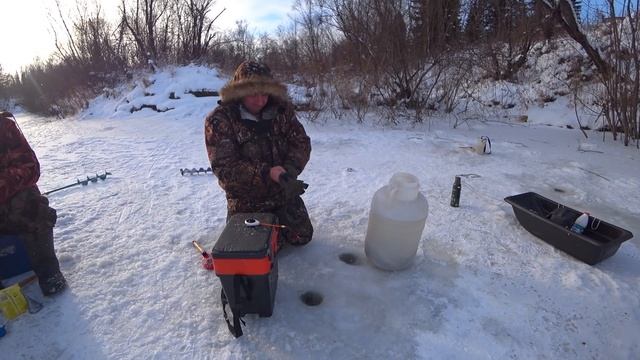 Зима! Как Наловить Живца - Ельца: Способ оснастки Удочки! Рыбалка на реке! смотреть онлайн