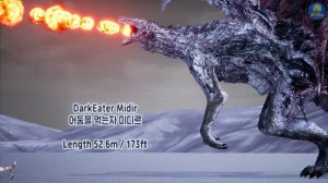DarkSouls Dragons Size Comparison (다크소울 드래곤 크기 비교) (feat. solaire)