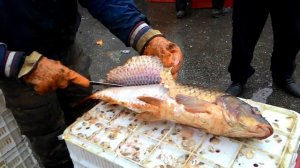 Чистка сазана