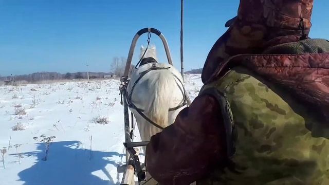 Первый раз на санях. Ракиты смотреть онлайн