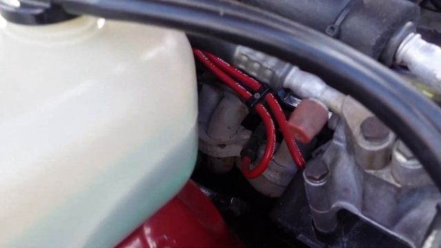 FORD 65 V8 MUSTANG - VL GROUP A V8 COMMODORE #cars #supercars #musclecars #carshow смотреть онлайн