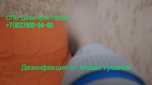 Дезинфекция от лишая СПб +7(812)9009400 СПб Дезинфектор СЭС ПОДГОТОВКА КВАРТИРЫ СПБ