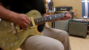 Paul Reed Smith SE Zach Myers Signature Clean