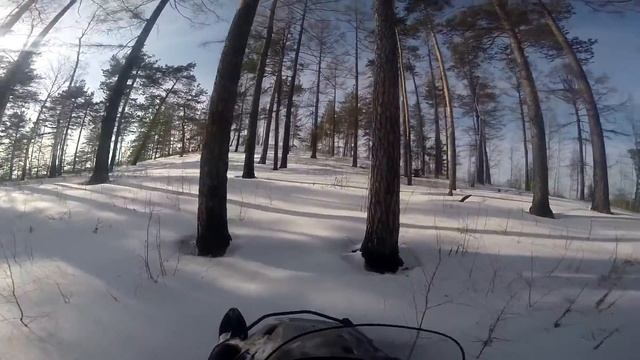 Заезд на снегоходе на медведь камень