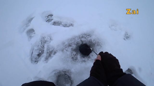 РЫБАЛКА на ЧЁРТИКА в центре города. смотреть онлайн