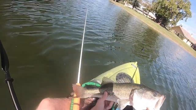 Kayak Bass Fishing - Baby Bull Shad was on Fire! | Vibe Yellowfin 100 смотреть онлайн