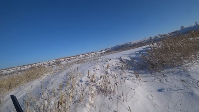 Охота на зайца с пулей 2024г. смотреть онлайн