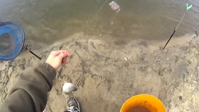 Ловля на фидер.Крупный карась.Рыбалка на Дону. смотреть онлайн