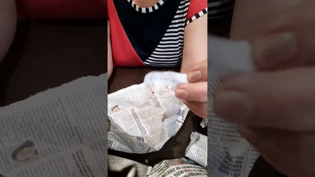 Сасевиерии из Индонезии.