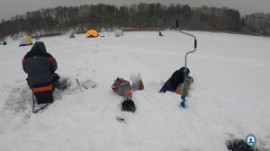 Ловля плотвы зимой.  Истринское водохранилище.  д.  Ламишино