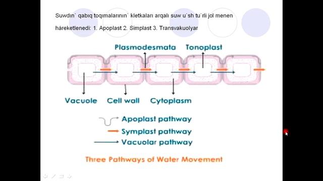 Tamirga suwdin soriliwi смотреть онлайн