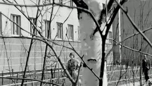 1980 год. Сургут. Майский день