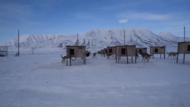 ТОП 10 АРКТИЧЕСКИХ РАЗВЛЕЧЕНИЙ//Top 10 things to do in Arctic смотреть онлайн