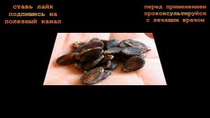 ★ Исключительная польза арбузных семечек.Чай из арбузных семян. Возьми 4 ст. л. свежих растолченных